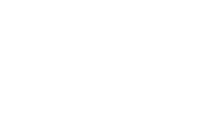 BrasilLink Host